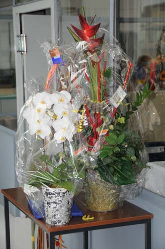 D300_20080913_029_ARI