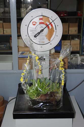 D300_20080913_031_ARI