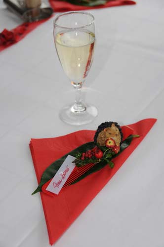 D300_20080913_052_ARI