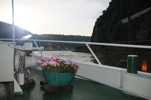 D300_20080913_110_ARI