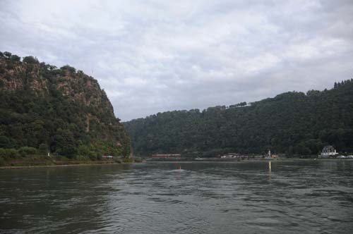 D300_20080913_115_ARI