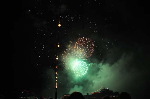 D300_20080913_141_ARI