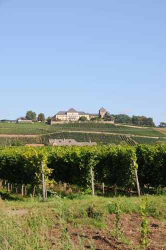 D300_20080914_145_ARI