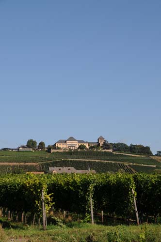 D300_20080914_146_ARI